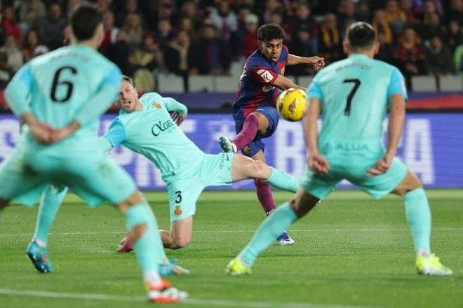 公布转会期 公布转会期